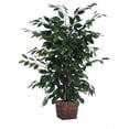 thumbnail image 1 of Vickerman TBU0140-0414 4' Ficus dans un Conteneur Carré de Saule, 1 of 2