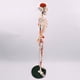thumbnail image 5 of Mini modelo de esqueleto humano con soporte de metal de 33" de altura con brazos y piernas removibles, inserción muscular pintada y numerada y puntos, 5 of 7