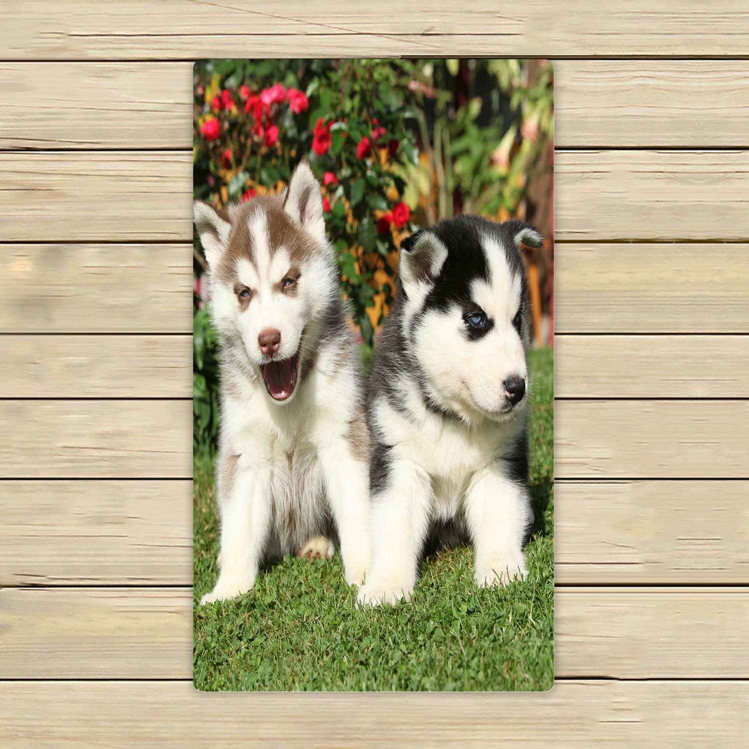 How To Bathe A Husky With Fleas