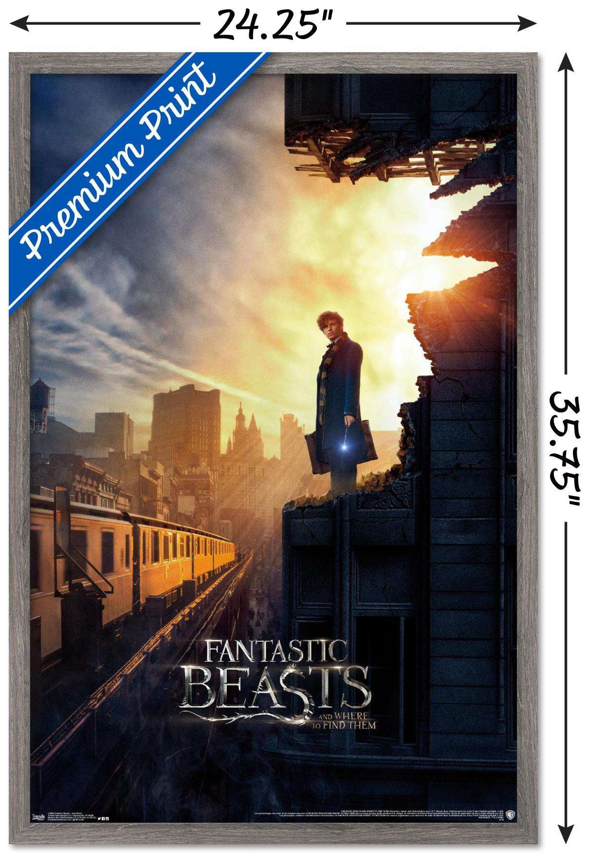 Fantastic Beasts And Where To Find Them - One Sheet Wall Poster, 22.375" x 34", Framed