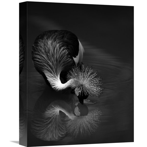 Global Gallery C.S. Tjandra,'The Reflection' Stretched Canvas Artwork