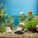thumbnail image 4 of 1 paquete de peces rocas volcánicas pequeñas decoraciones de piedras de lava naturales plantas en macetas rocas volcánicas, 4 of 7