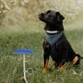 thumbnail image 3 of OULII 1Set Iron Material Pet Leash Stake for Small Dogs Prevent Tangles with Ground Insertion, 3 of 7