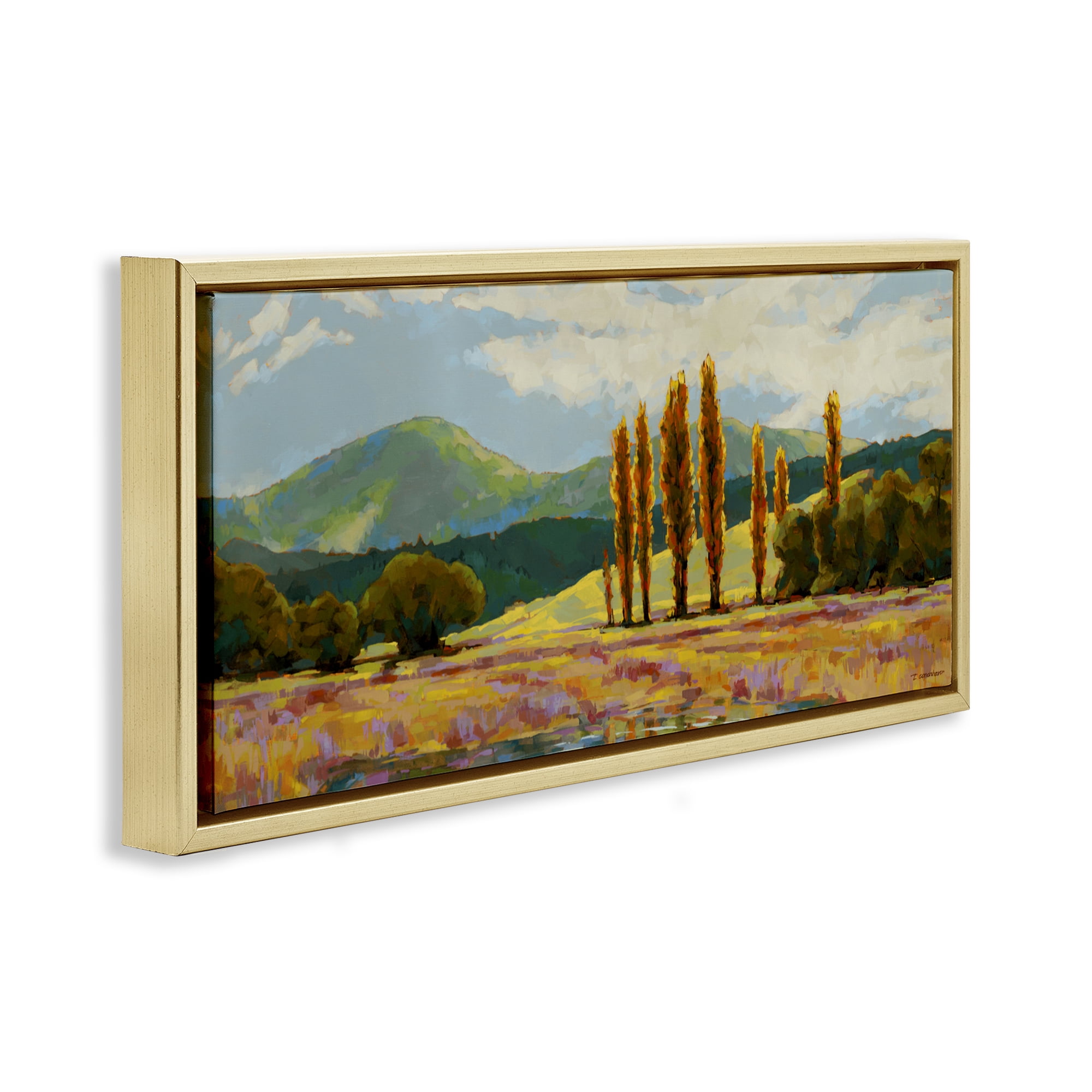 Stupell Industries Vast Subdued Countryside Gold Framed Floater Canvas Wall Art, design by Trevor Copenhaver