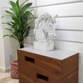thumbnail image 5 of Galt International 18" Horsehead Wood-Like Carving Statue Centerpiece, 5 of 9