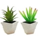 thumbnail image 1 of 2 uds simulación de plantas suculentas en macetas, pequeños adornos creativos para interiores, flores artificiales y plantas verdes, 1 of 5