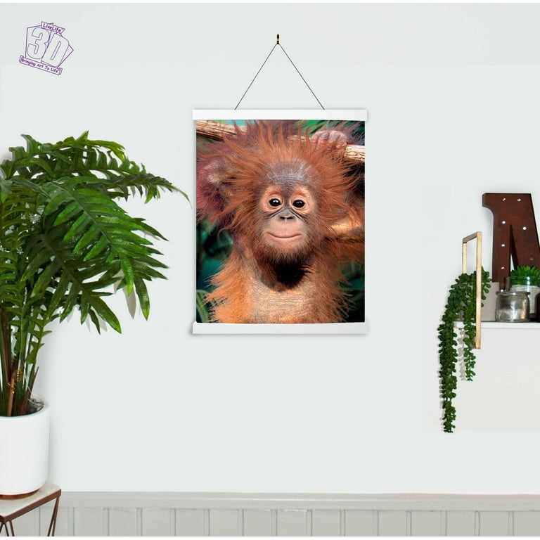 3D LiveLife Lenticular Wall Art Prints - Baby Orangutan from