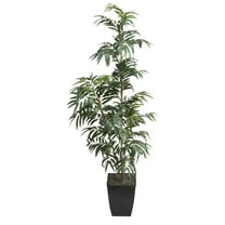 6' Phoenix Palm in Black Square Metal Planter