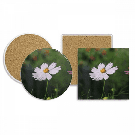

White Cosmos Coaster Cup Mug Holder Absorbent Stone Cork Base Set