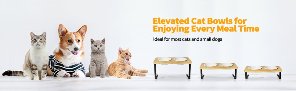 Pet Daily Kit Ceramic bowls elevated for Pets, Solid bamboo Water stand feeder