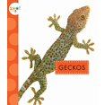 thumbnail image 1 of Geckos (Spot), 1 of 1