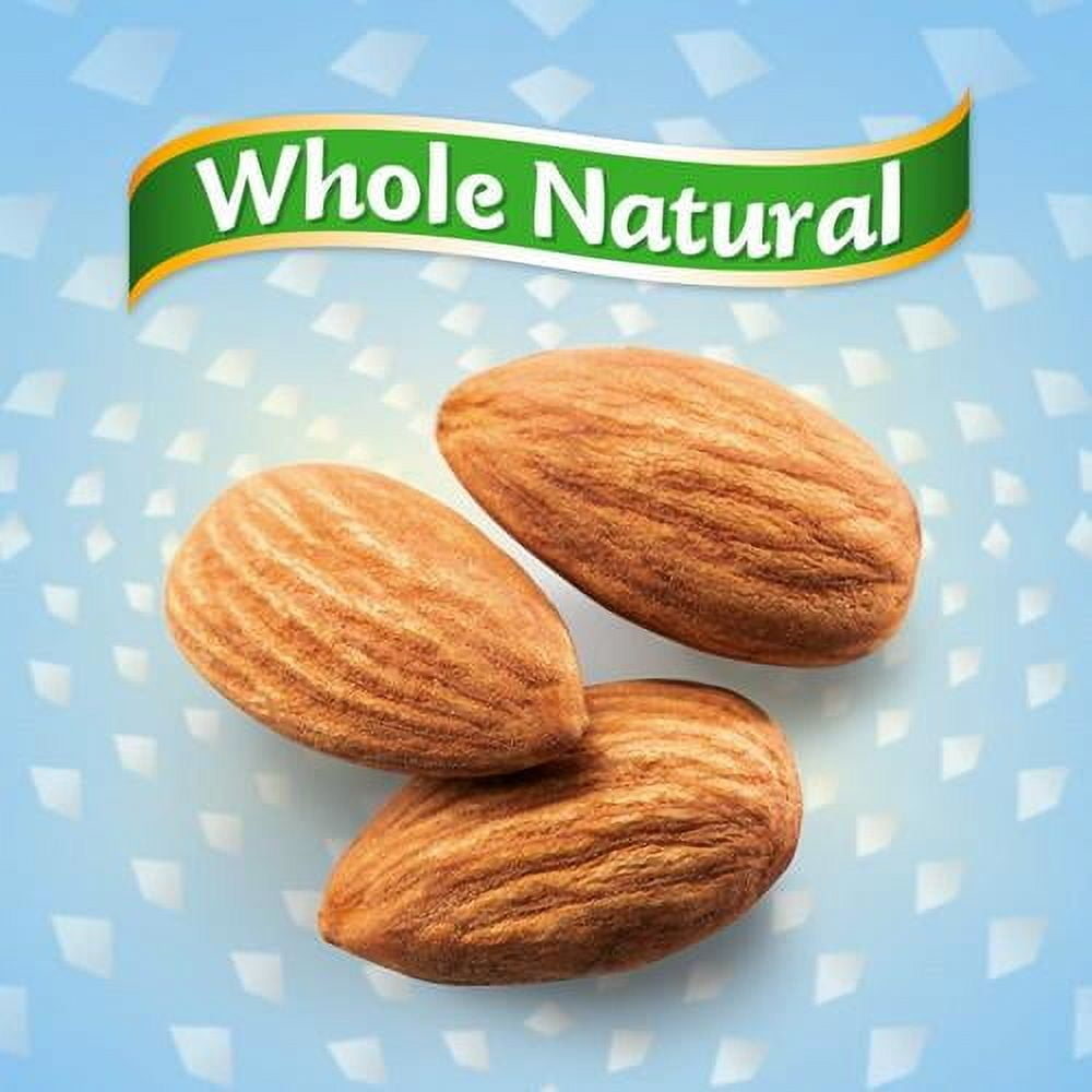 Blue Diamond Almonds Whole Natural Raw Snack Nuts, 100 Calorie Travel Bags, 32 Count - Pack of 2