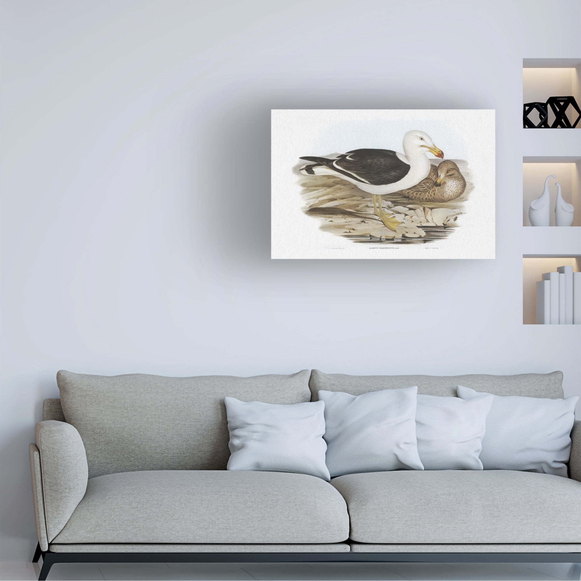 Trademark Fine Art Elizabeth Gould Seabird Pairing I Canvas Wall Art