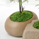 thumbnail image 4 of Simulated Moss Artificial Moss Green Plants Decorative Landscaping Potted Grass Pavement DIY Filamentous False Moss, 4 of 8