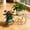 Gold, variant on 2 Tier Metal Stand Ornate Floral Scroll Shelf Rustproof 2 Pot Holder Decorative Floor Rack for Indoor Living Room Balcony Patio and Lovers