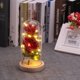 thumbnail image 5 of Rosa encantada de La Bella y la Bestia, rosa eterna en cúpula de cristal, rosa de seda roja romántica iluminada, regalos para mujeres, paquete de regalo perfecto para bodas, aniversarios, 5 of 7