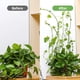 thumbnail image 5 of Plant Climbing Wall Fixture Clips,100Pcs Plant Fixer Self-Adhesive Hook,Garden Vegetable Plant Support Binding Clip Invisible, 5 of 5