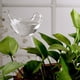 thumbnail image 2 of Dispositivo Riego Por Goteo Automático Con Bombilla Transparente para Viajes Pájaros Y Flores (A), 2 of 8
