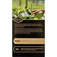 Private Selection Orange Spice Black Tea 3 Pack