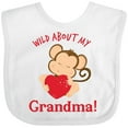 thumbnail image 3 of Inktastic Wild About My Grandma Boys or Girls Baby Bib, 3 of 4