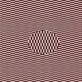 thumbnail image 1 of Ahgly Tapis d'Intérieur Lavable en Machine Carré Transitionnel Rose Profond, 5 Pieds Carré, 1 of 7