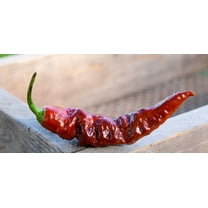 Chocolate Bhut Jolokia Heirloom Ghost Pepper Premium Seeds Packet