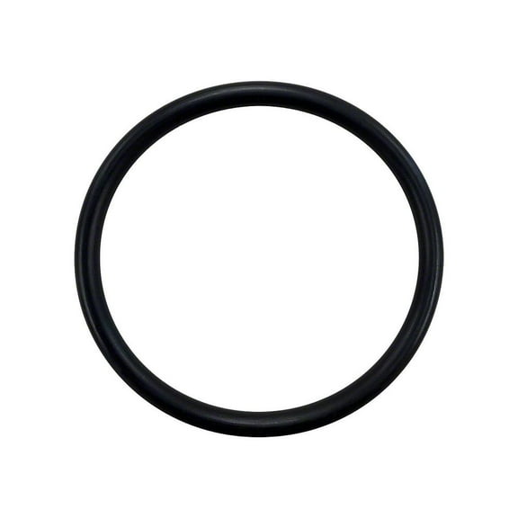 RAParts Hydraulic Piston O-Ring - Fits Case-IH - 381871R1