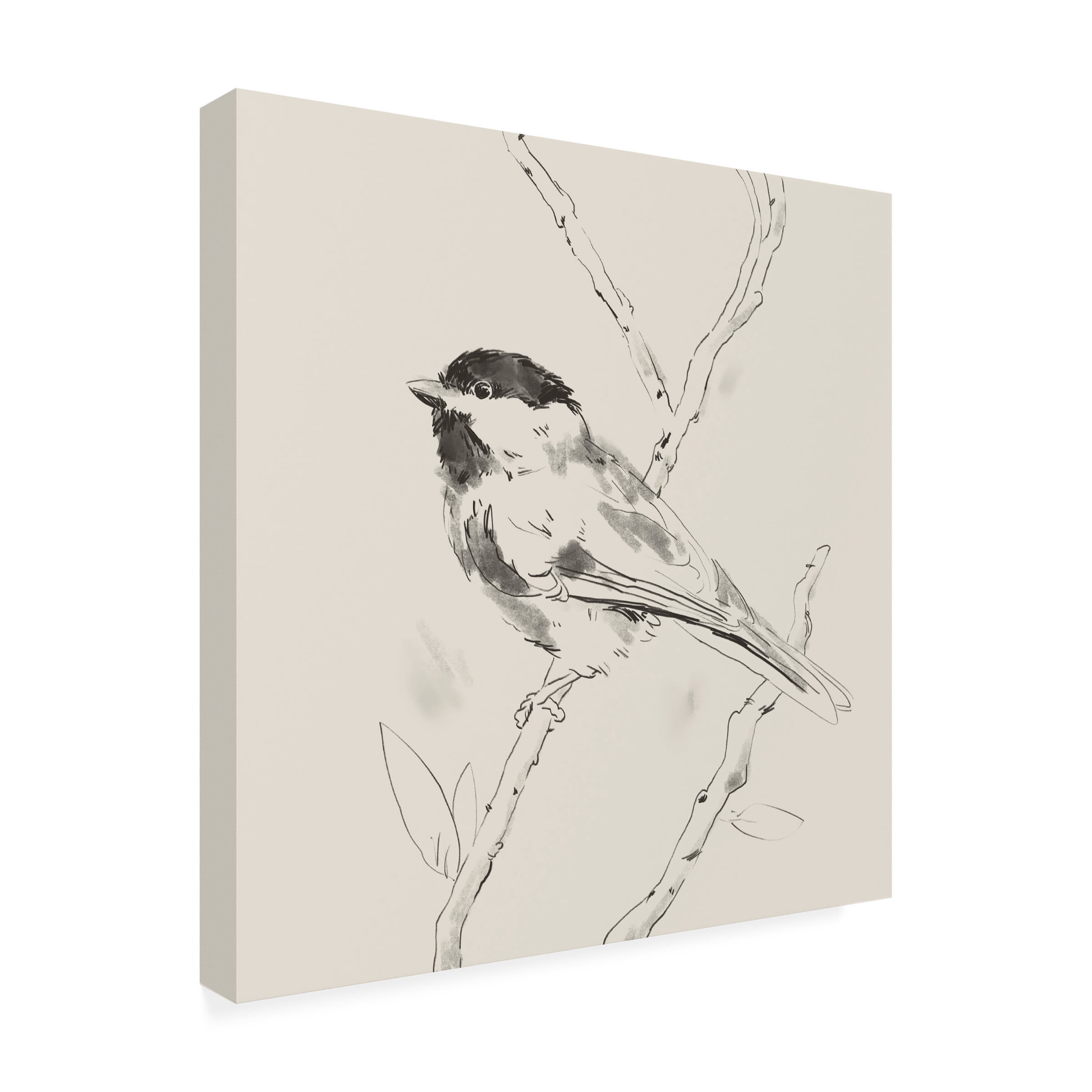Jacob Green 'Black Capped Chickadee II' Canvas Art
