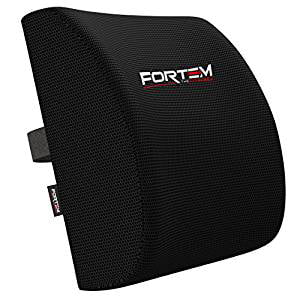 Memory Foam Lumbar Support Back Pillow for Office Chair Car Orthopedic Cushion Improves Posture & Provides Low Back Support With Washable (Best Lumbar Support Pillow For Car)