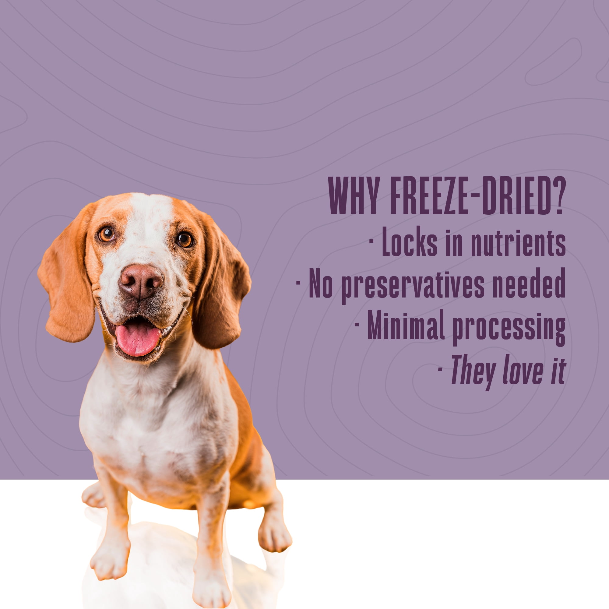 Whole Life Pet Living Treats – Peanut Butter and Yogurt Recipe Probiotic Treats For Dogs, 3oz