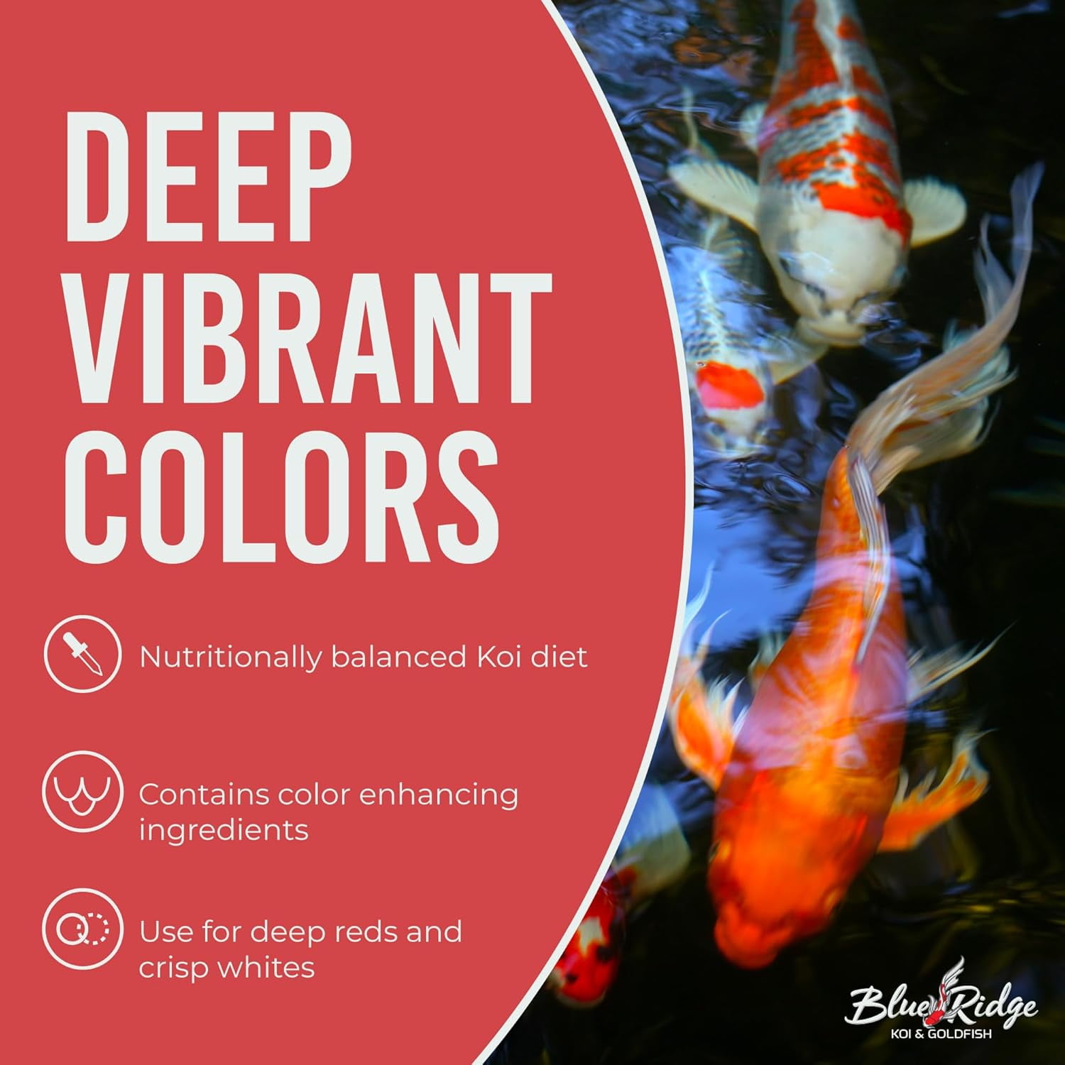 Blue Ridge Koi Fish Food 50lb - Koi Food 3/16” Platinum Pro Formula Goldfish Food, Premium Fish Food for Ponds, Floating Pond Pellets Fish Food