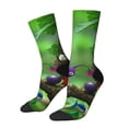 thumbnail image 2 of Lsque Pikmin Printed Men's Crew Socks, Soft Durable Breathable Moisture-Wicking with Odor Control Cotton socks, 2 of 7