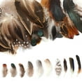 thumbnail image 6 of 300PCS Assorted Feathers 10 Styles Crafts Feathers for DIY Dream Catcher Wings Earring Hat Mask Wedding Party Carnival Halloween Costume Decorations, 6 of 7