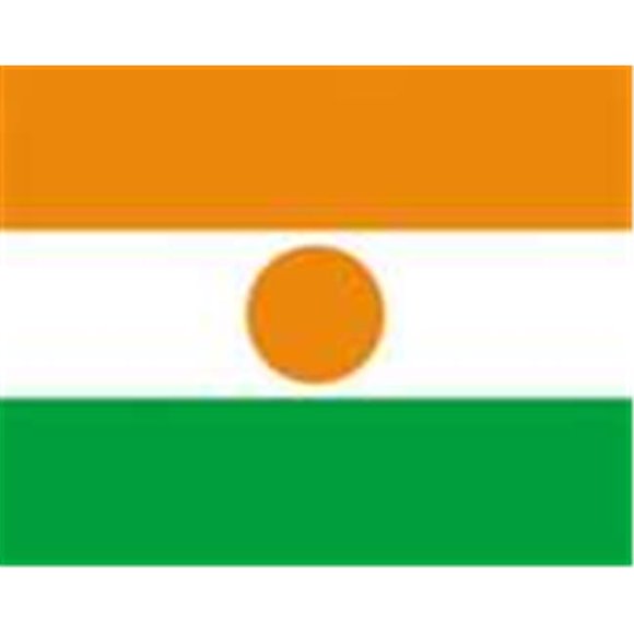 Annin Flagmakers 196301 2 ft. X 3 ft. Nyl-Glo Niger Flag