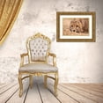 thumbnail image 3 of Jimmyz 32x23 Gold Ornate Wood Framed with Double Matting Museum Art Print Titled - Cheetah Resting, 3 of 4