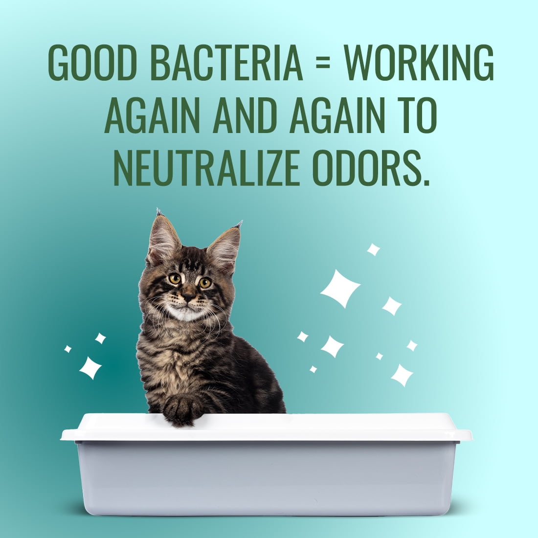 Citrus Magic Outdoor Fresh Pet Probiotic Litter Odor Eliminator Spray, 16-Fluid Ounce