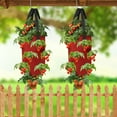 thumbnail image 3 of TSV 13.8 in Red Non-Woven Hanging Planters with 13 Growth Ports (2 Count), 3 of 7