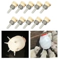 thumbnail image 3 of Paquete de 10 Tetinas de Cordero Sunnimix para lactancia Accesorios para perros, 3 of 8
