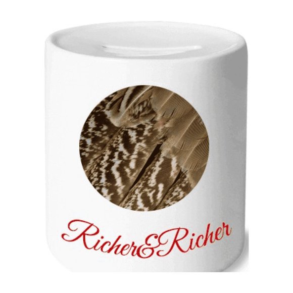 Feather Animal Snake Pattern Rich and Rich Bank Saving Box Coin