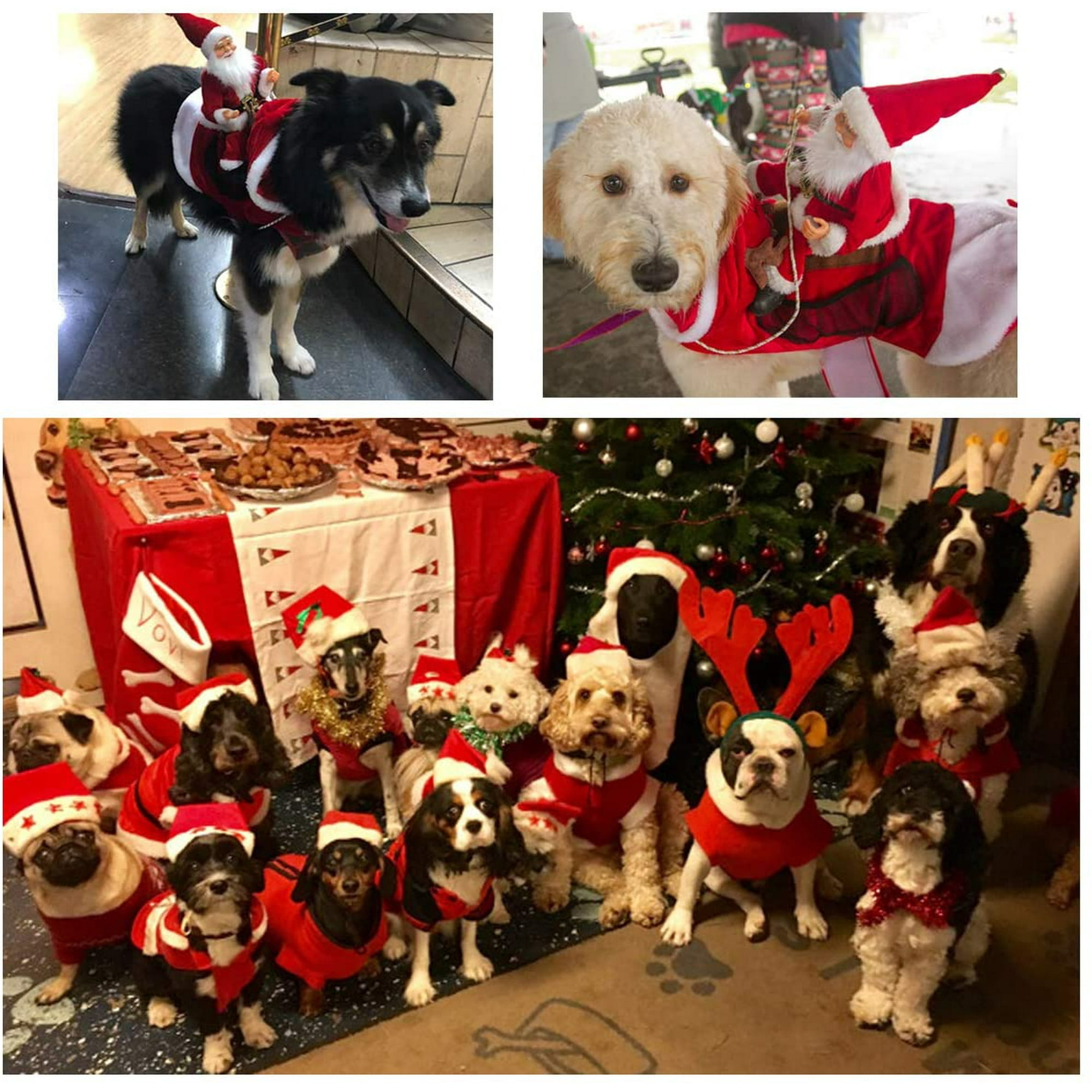 Chien Costume de Noel Chien Santa Claus Costume Chien Chat Noel Vacances Vetements de Noel pour Animaux de Compagnie Course Santa Claus Equitation sur Animal de Compagnie XXL Walmart