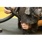Metropolitan Vacuum Cleaner B-3 Air Force Blaster 4.0 Php - Hair Dryer and Blower for Pet Grooming