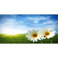 thumbnail image 1 of Fleurs de Printemps Photo Assiette License, 1 of 1