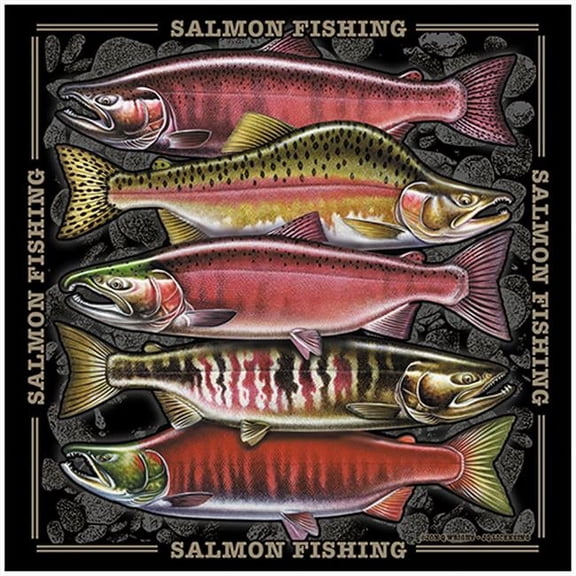 SignMission P-1414 Salmon Fishing 14 in. Novelty Sign - Salmon Fishing