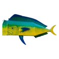 thumbnail image 1 of Fish Mailbox | Metal Fish Mailbox Funny Post Letter Box for Garden Decor | Reusable Colorful Fish Artwork Mailbox for Outdoor, Parks, Gardens, 1 of 1