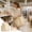 🎈Beige_Hot#128, variant on Large Capacity Foldable Shopping Bag with Cup Holder, Waterproof Color Block Shoulder Tote for Groceries and Travel