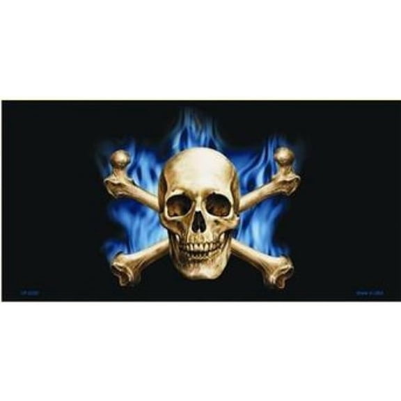 212 Main LP-2320 6 x 12 in. Blue Flame Skull & Crossbones Metal License Plate
