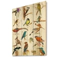 thumbnail image 2 of Designart 'Vital Colored Birds Plancard' Traditional Print on Natural Pine Wood, 2 of 5