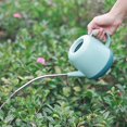 thumbnail image 5 of Lata de riego de planta 1l, lata de riego de plástico, lata de riego ligero con boca larga para jardinería y plantación de interior (azul) Feliz Sencillez, 5 of 5