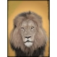 thumbnail image 2 of Prime, Marcus 15x18 Gold Ornate Wood Framed with Double Matting Museum Art Print Titled - Lion In Thought 2, 2 of 4