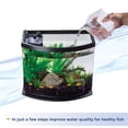 thumbnail image 4 of MiniBow LED Aquarium Aqueon, tamaño pequeño, 19 litros, con SmartClean Black, 4 of 9